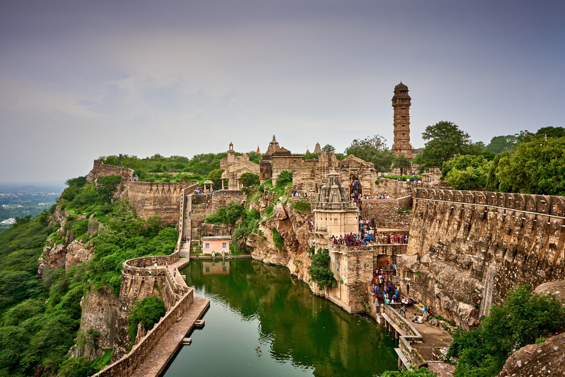 pachewar (3).webp